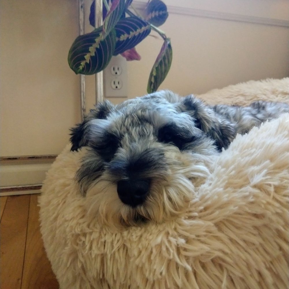 Meet your Posher, Catherine